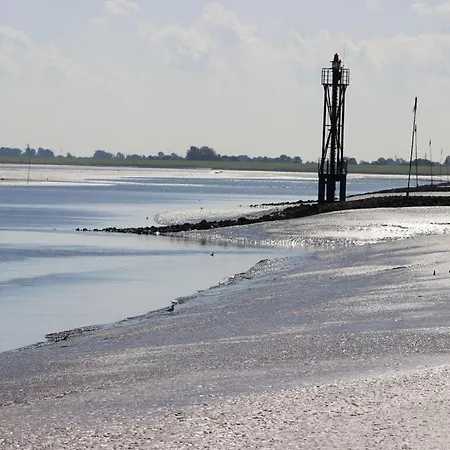 Roof-only House Modern Retreat